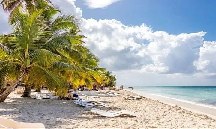 Saona Island Full-Day Tour with Lunch from Punta Cana