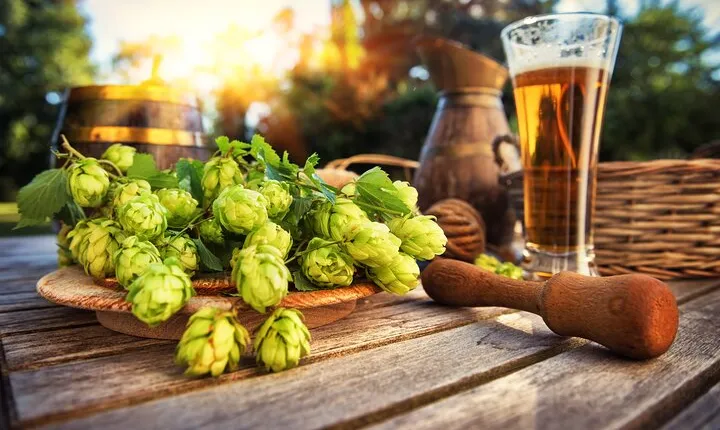 Private German Beer Tasting Tour in Rostock Old Town