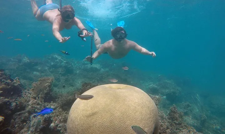 Punta Cana Private Cruise Up To 10 Snorkeling & Seafood lunch