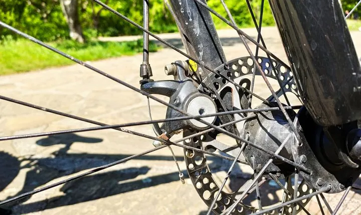 Private Full Day Cycling Tour in the Rhodope Mountains from Plovdiv