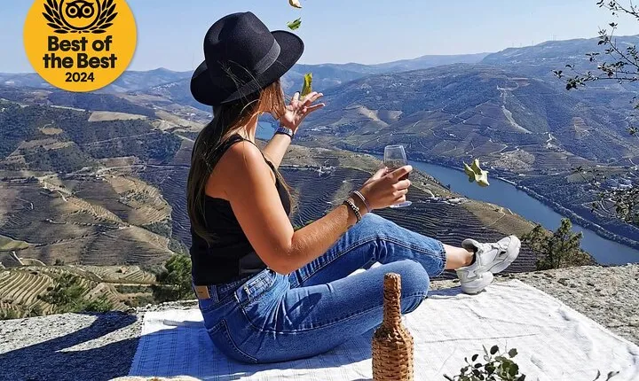 Douro Valley: Historical Sites, Wine Experience, Lunch & Cruise