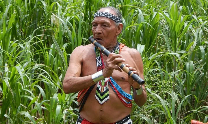 Full-Day Embera Village and Culture Tour from Panama City, Panama