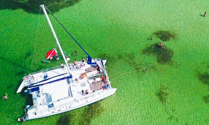 Shell Island Snorkel and Dolphin Catamaran Cruise with Island Time