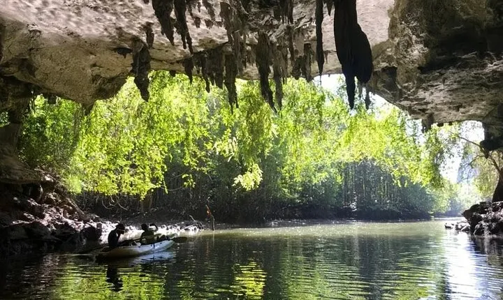 Full Day Guided Tour in Bor Thor Caves and Mangroves