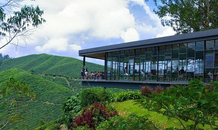 Full Day Cameron Highlands Nature Tour