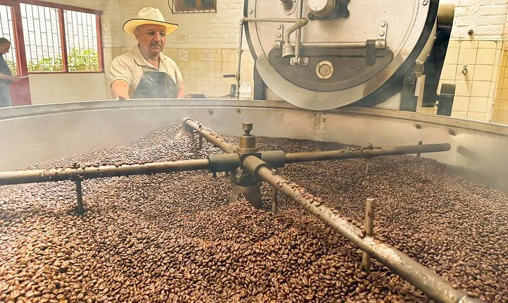 Full Day learning about the Process of the Best Coffee in the World