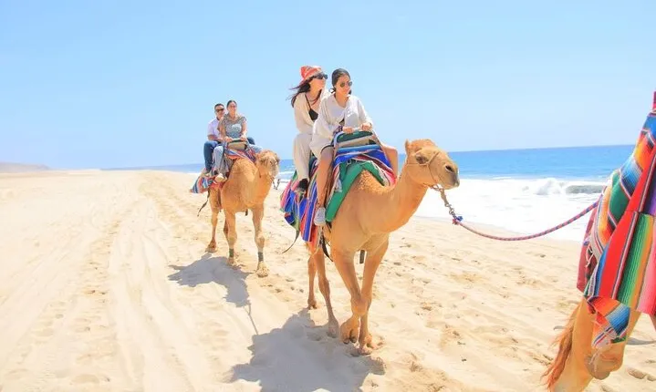 Camel Adventure on the Beach