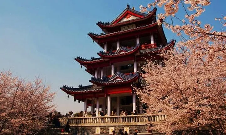 Wuxi Private Day Tour from Shanghai by Bullet Train with Drop-off Option