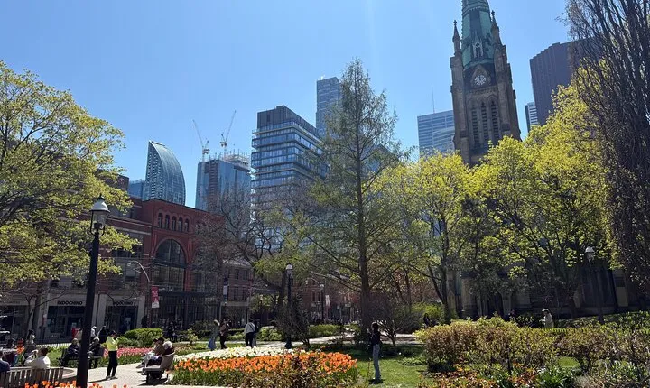 Tours to Toronto Harbourfront by Land and Sea