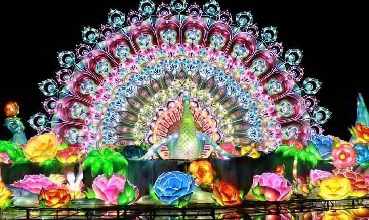 Glow Garden Tickets with Transfers