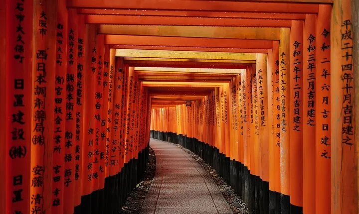 Kyoto Early Morning Tour with English-Speaking Guide