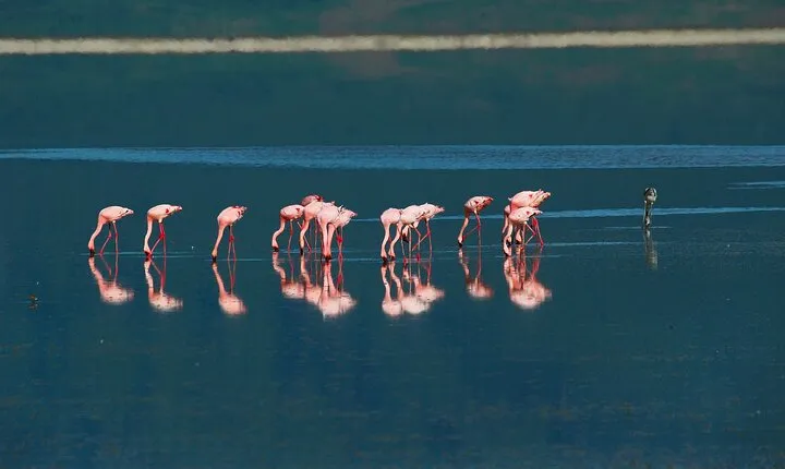A Private Day Trip to Ngorongoro Crater