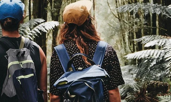 Small Eco Tour (8 ppl) - Yarra Valley & Dandenong Ranges Hike