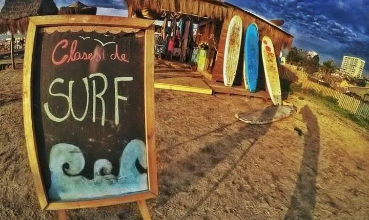 Surfing, Sandboarding & wild Sea lions + Chilean drinks & food