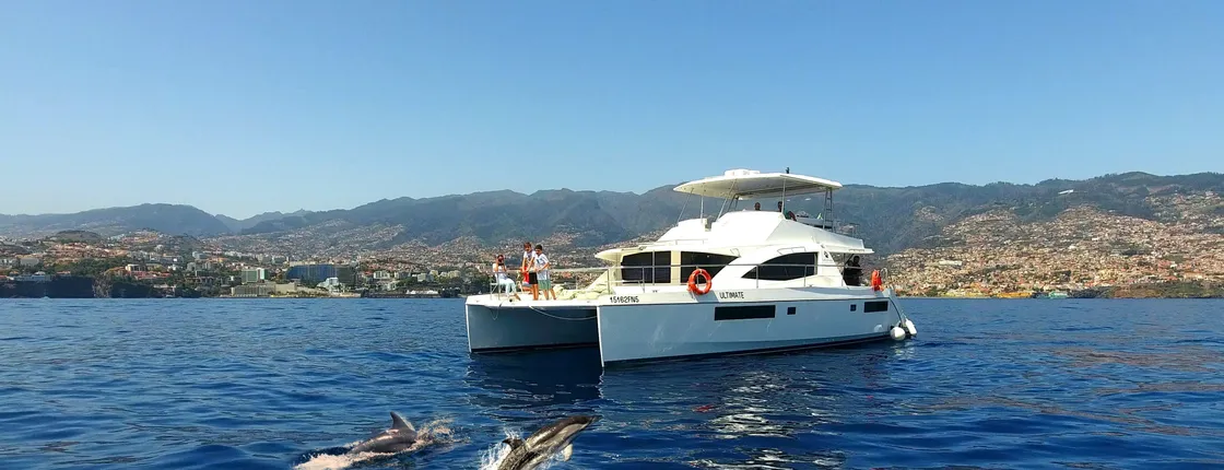 Madeira VIP Whale & Dolphin Watching Cruise