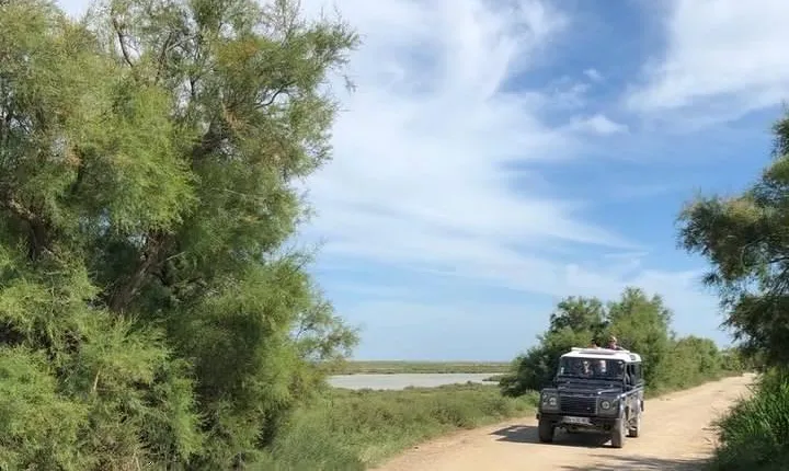 4x4 Camargue Safari 4h - Departure from Arles