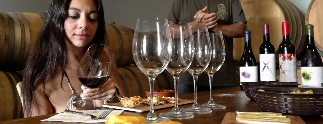 Half-day winery tour with wine tasting and tapas