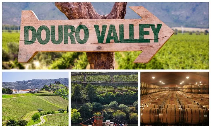 Douro Valley Tour: Wine Tasting, Cruise and Lunch from Porto