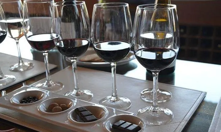 Private Tour: Undurraga Vineyard Experience with Premium Wine Tasting