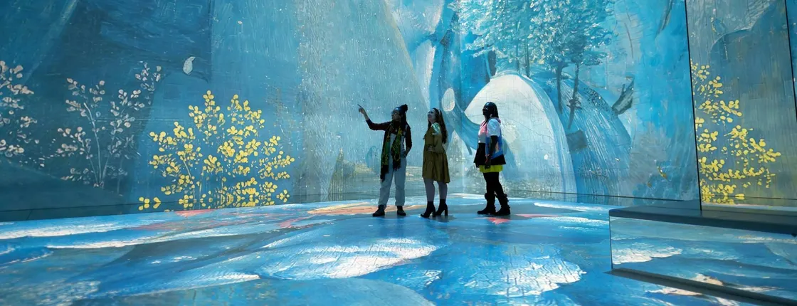 "Frameless" Immersive Art Experience entrance tickets