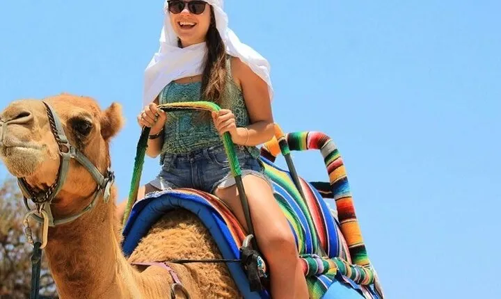 Adventure Camel Riding in Wonderful Desert one Hour - Hurghada