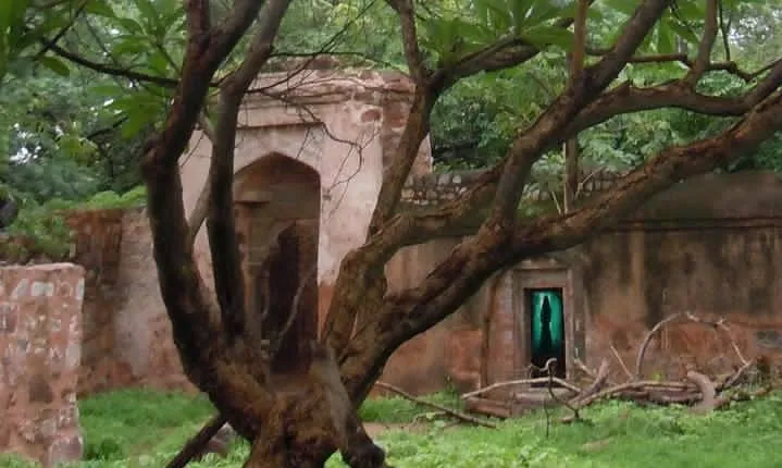 Delhi Haunted and Creepy Ruins Discovery
