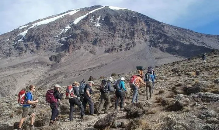 2-Day Short Kilimanjaro Trek