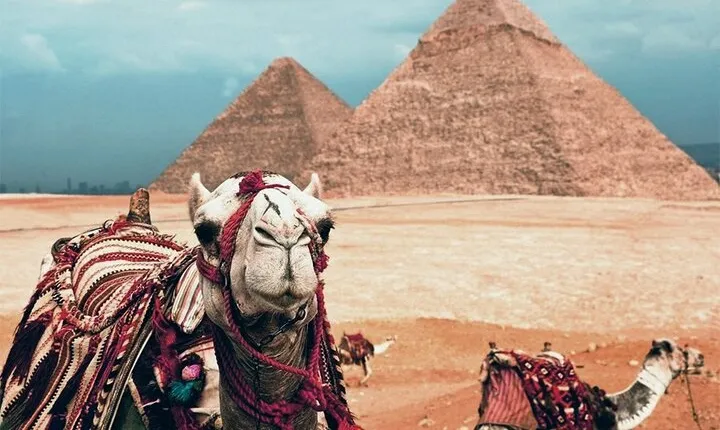 Overnight trip to Cairo from Dahab by flight