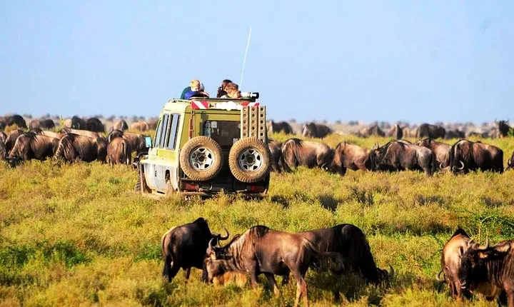 6-Day Tanzania Camping Safari: Lake Manyara, Serengeti, Ngorongoro Cater and Tarangire National Park from Arusha