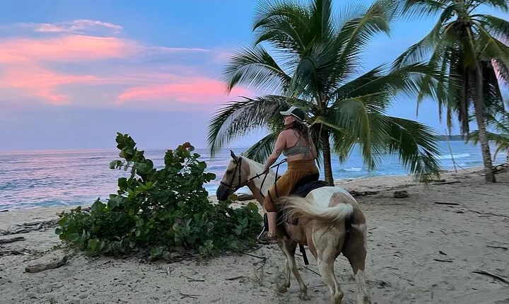 2 Hour Beach Horse Back Riding in Puerto Viejo