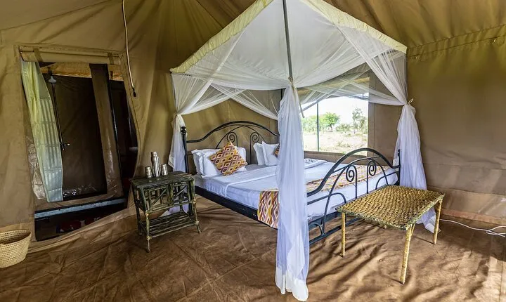 5 Days Serengeti, Ngorongoro, Manyara and Tarangire Group Safari