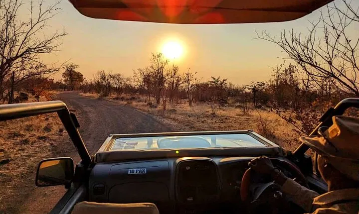 Unique Safari Game Drives in Zambezi National Park, 4 Options