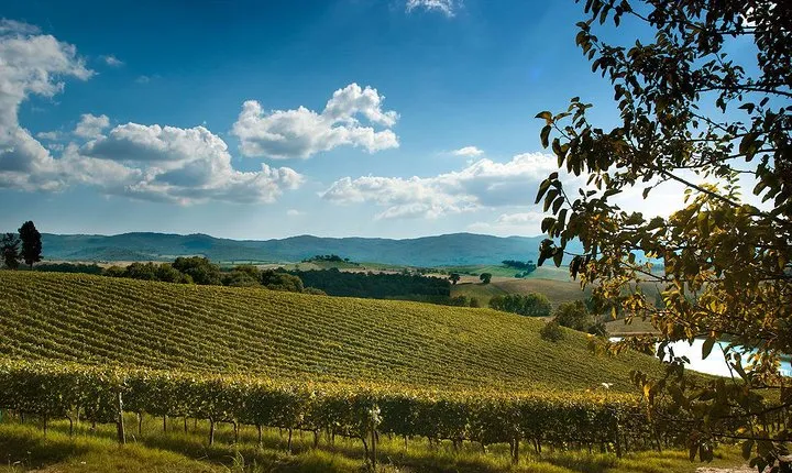 Private Montalcino and Pienza Tour from Florence