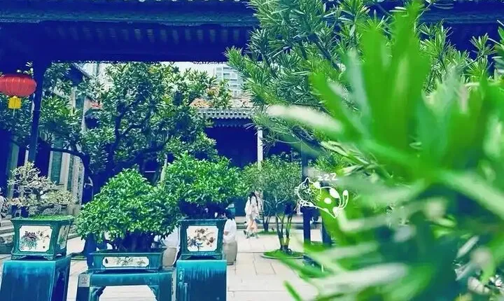 Taste Of Guangzhou , Dim Sum , Tea Culture