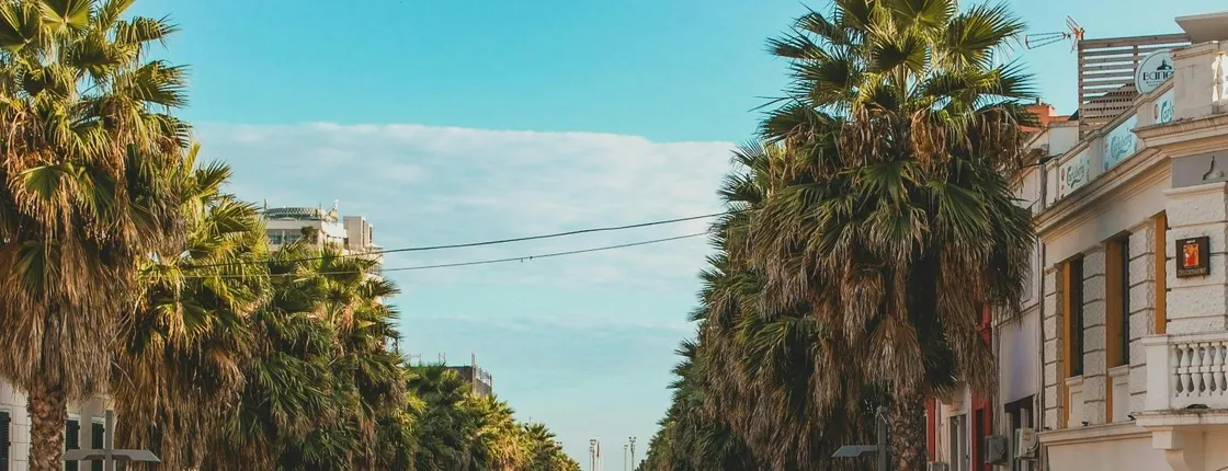 Historical guided tour of Durres and ancient amphitheatre visit