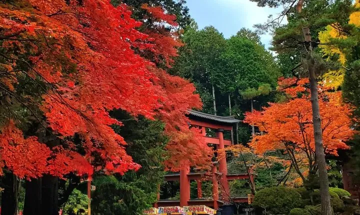 3 Days Private Tour Tokyo, Mt. Fuji and Hakone