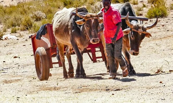 Saga of the Sani Pass and Mokhotlong Tour