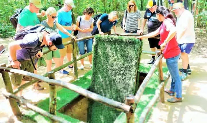 Cu Chi Tunnels Half Day Luxury Tours