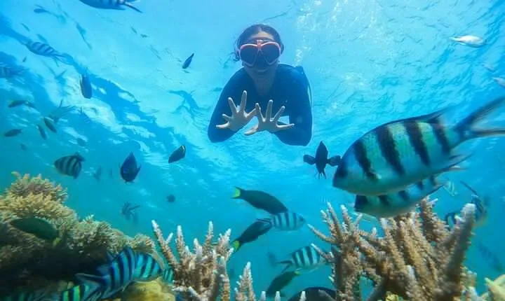 Bali Blue Lagoon Snorkeling Tour with Lunch, Private Transfer