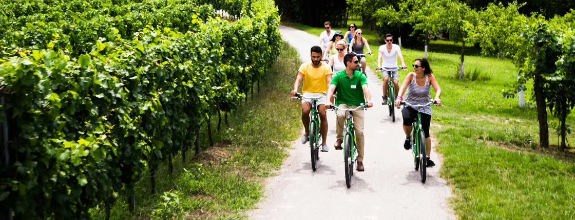 Wachau Winery Bike Tour