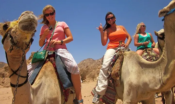 Desert Package: Quad, Camel, Dinner Show in Sharm El Sheikh