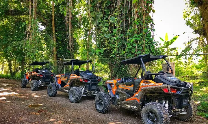 Rastafari Cultural ATV Community Experience from Montego Bay