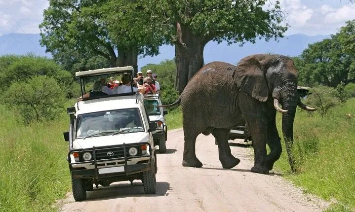 3 Days Wildlife Safari from Mombasa