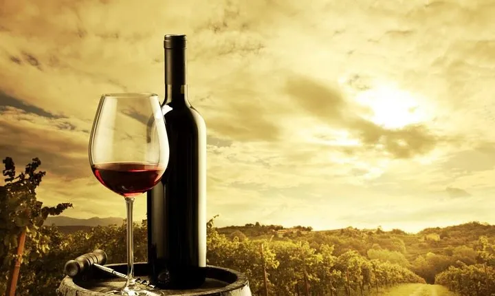 Barossa Valley Cellar Door Small Group Tour