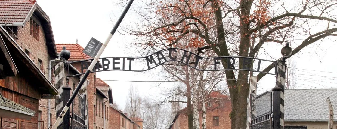Auschwitz-Birkenau Memorial and Wieliczka Salt Mine full-day tour