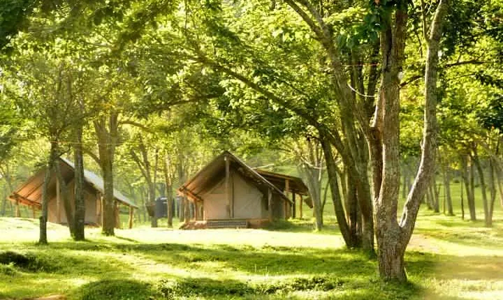 Chitlang Markhu Overnight Hiking Trip