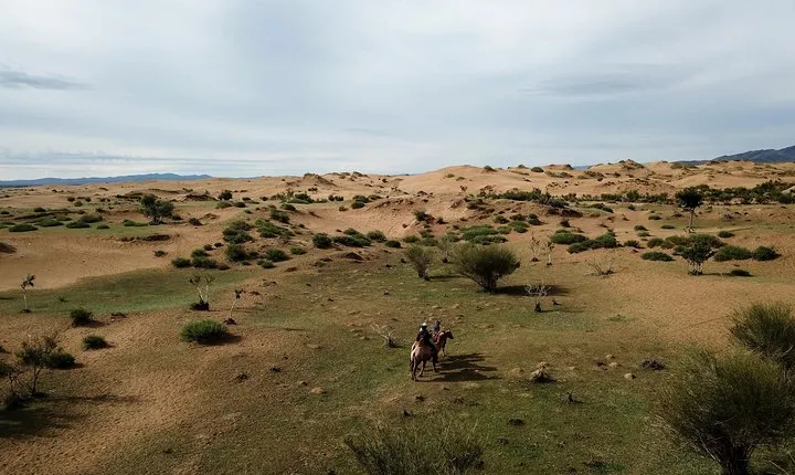 Overnight Semi-Gobi, Khustai National Park