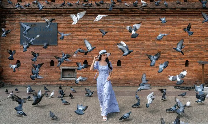 Professional Photoshoot at Tha Phae Gate