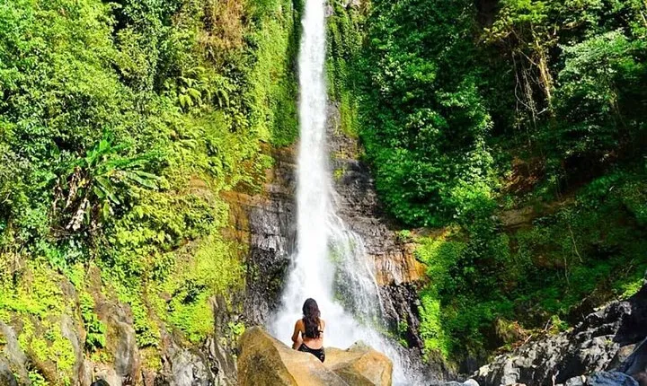 Private guided puncak day tour;Solo;Small Group