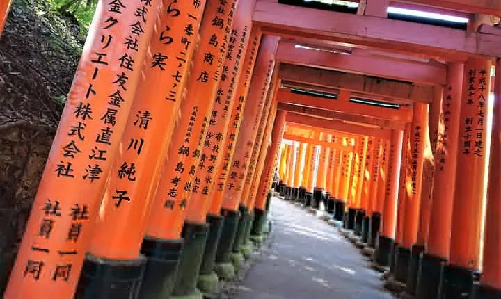 Kyoto Late Bird Walking Tour